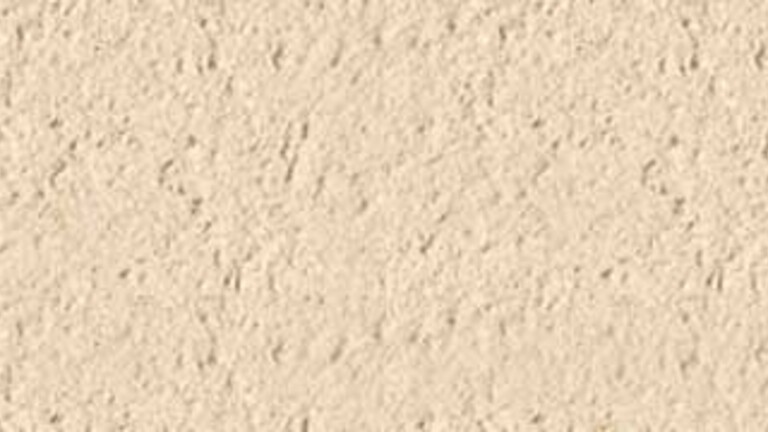 009 BEIGE