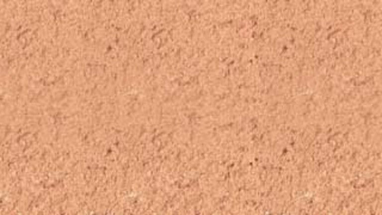 092 ROSE ANTIQUE