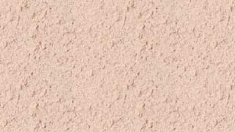 246 ROSE CHAUD MOYEN