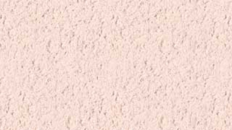 253 ROSE ASSOMBRI