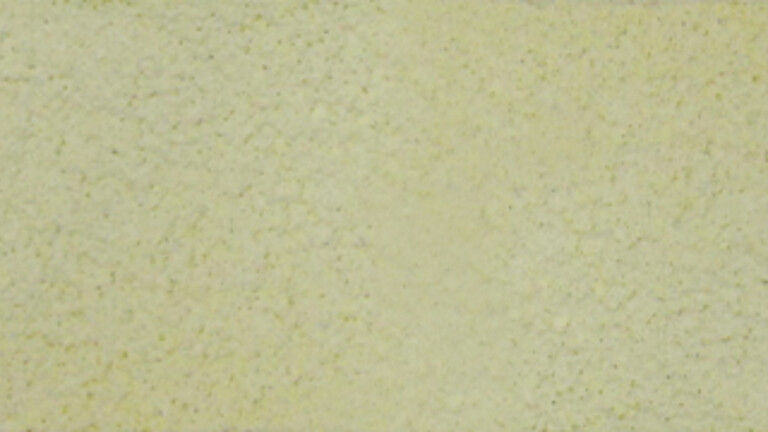 SHY YELLOW (2164)