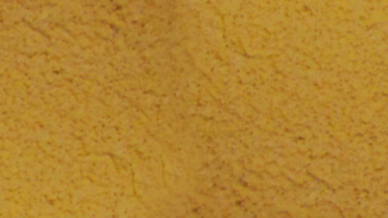 AUTUMN LEAF (2253)