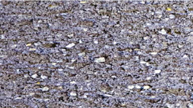 gris acier 318