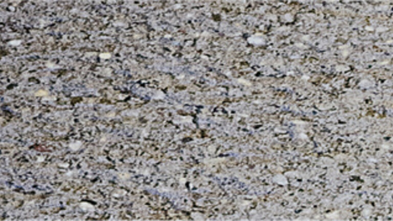gris chrome 609