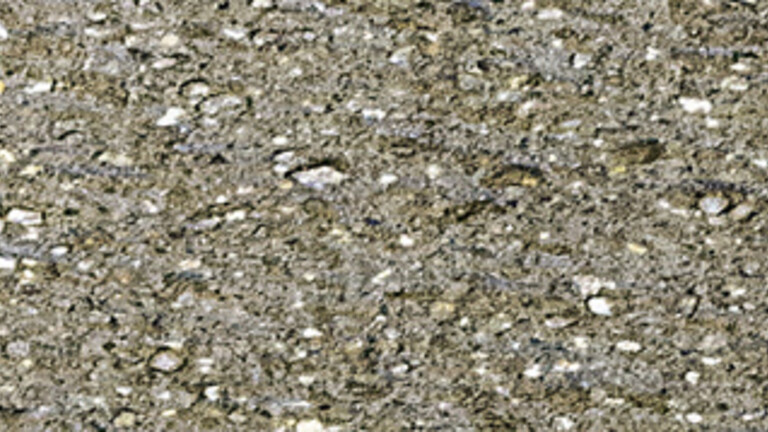 gris lauze 649