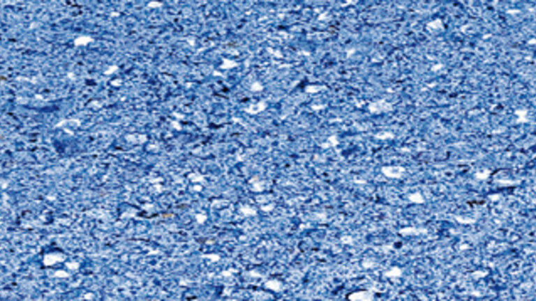 lin bleu 831