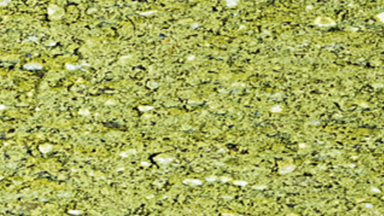 vert glaise 938