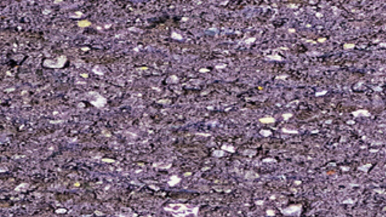 violet amarante 941
