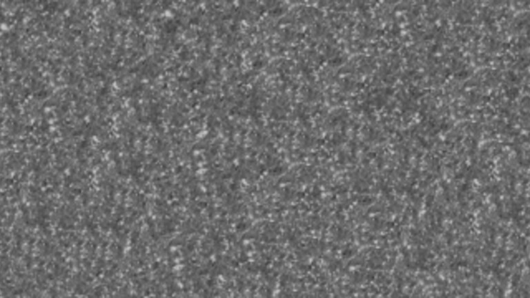 GS 173 - Black Pearl