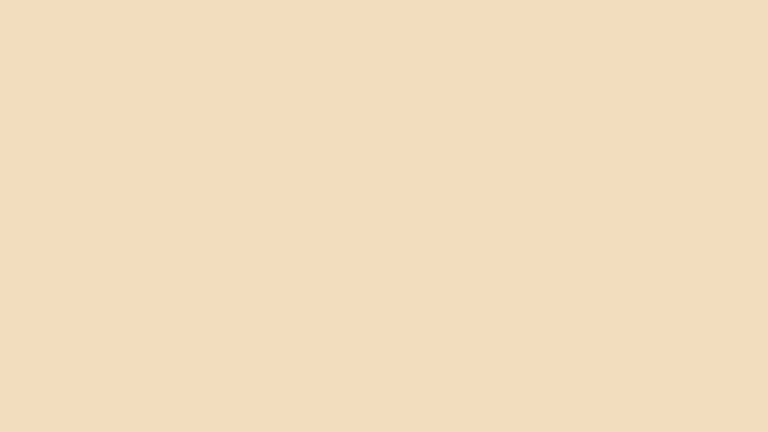 J43 Camel