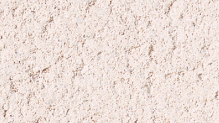 rose moyen 058