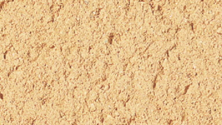 rose orangé 082