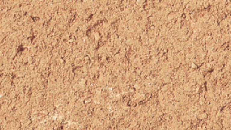 rose antique 092