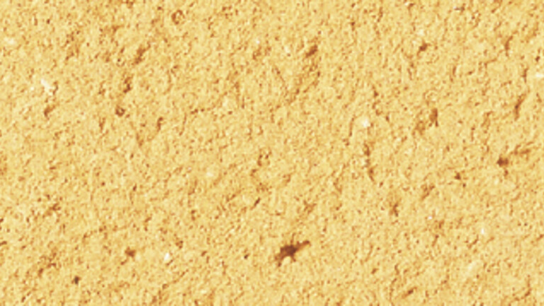 sable blond 097