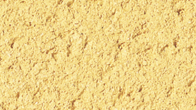 jaune dune 101