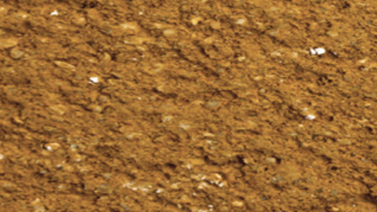 Terre brulée 319