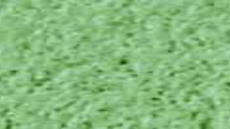 Schiste vert 574